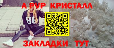 прущие грибы Вышний Волочёк