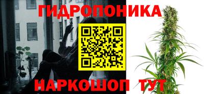 прущие грибы Вышний Волочёк