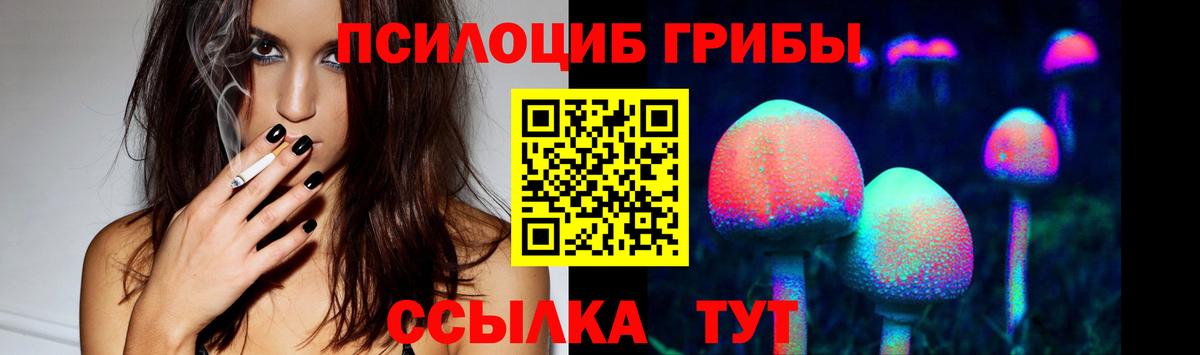 Нижний Новгород  Псилоцибиновые грибы MAGIC MUSHROOMS  Вход с VPN  Галлюциногенные грибы GOLDEN TEACHER 
